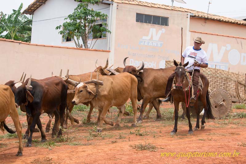 Festa_sao_camilo (109)