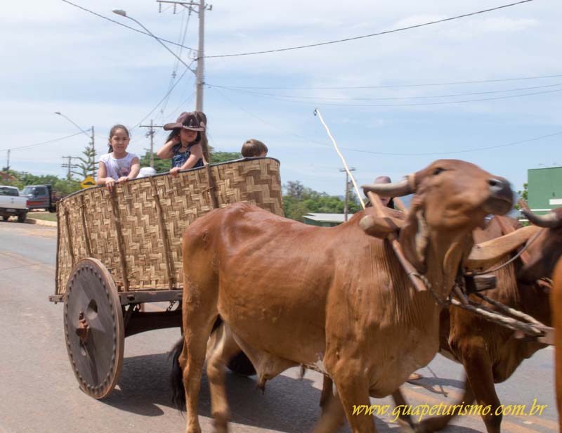 Festa_sao_camilo (11)