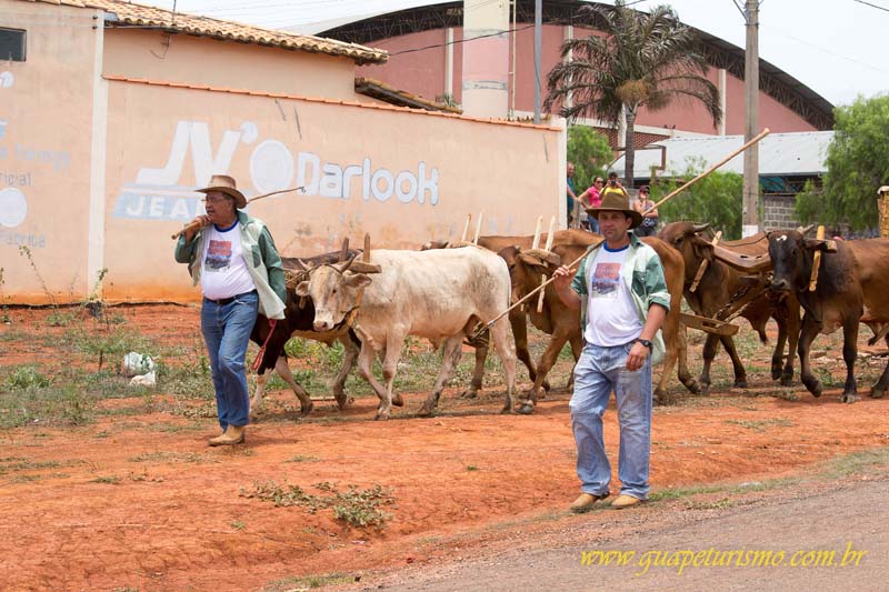 Festa_sao_camilo (111)