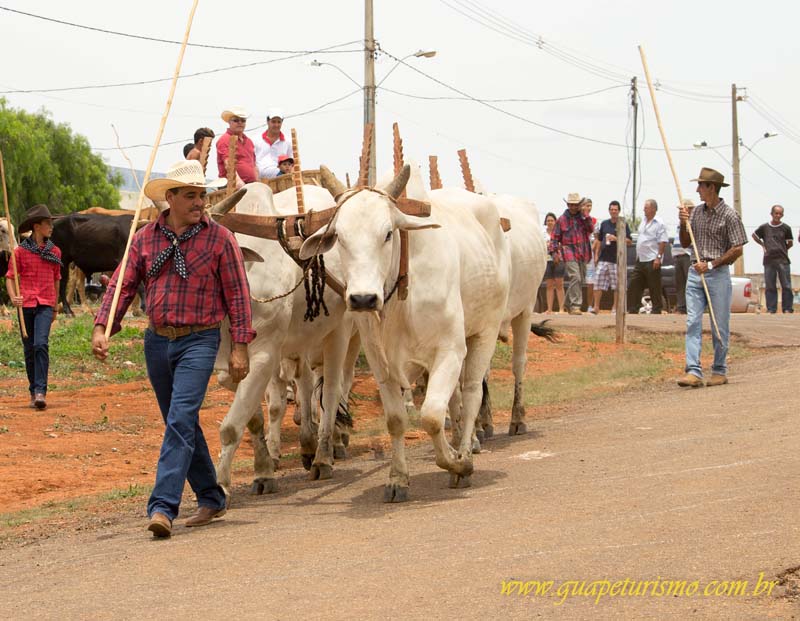 Festa_sao_camilo (113)