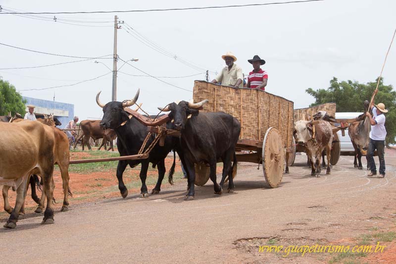 Festa_sao_camilo (118)