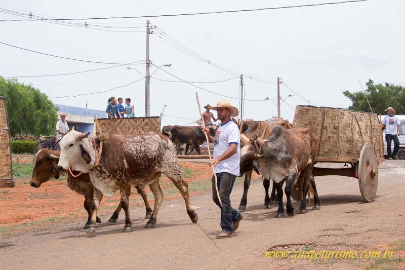 Festa_sao_camilo (119)