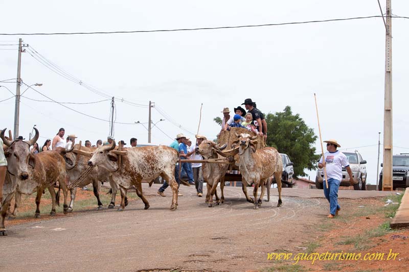 Festa_sao_camilo (123)