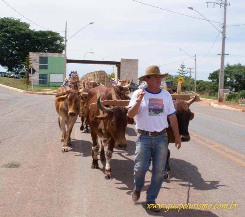 Festa_sao_camilo (14)