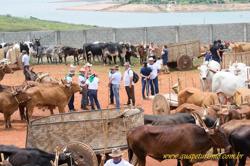 Festa_sao_camilo (146)