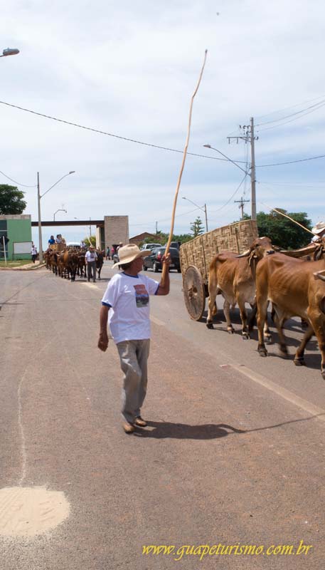 Festa_sao_camilo (15)