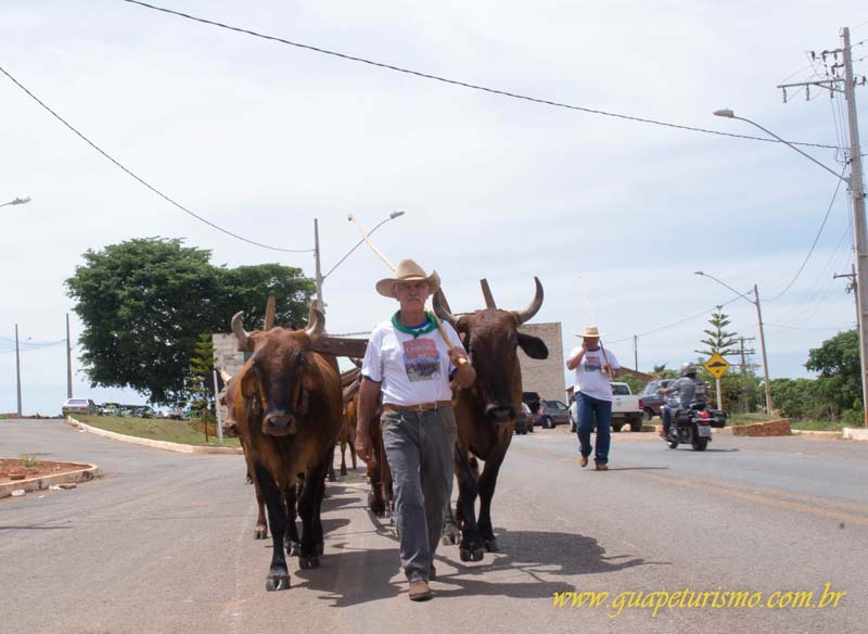 Festa_sao_camilo (16)