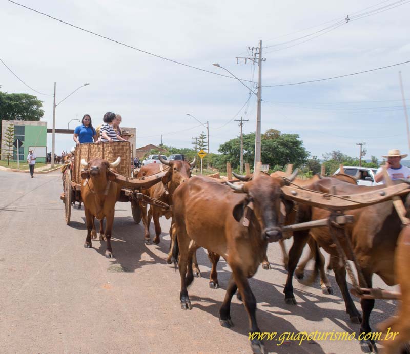 Festa_sao_camilo (17)