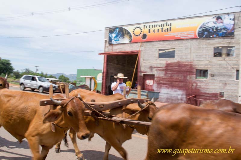 Festa_sao_camilo (18)