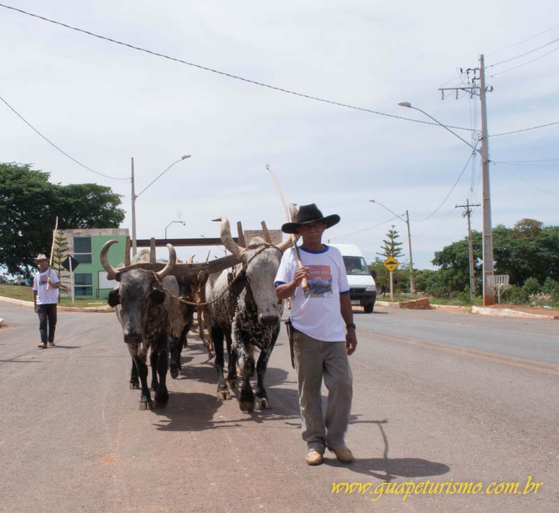 Festa_sao_camilo (19)