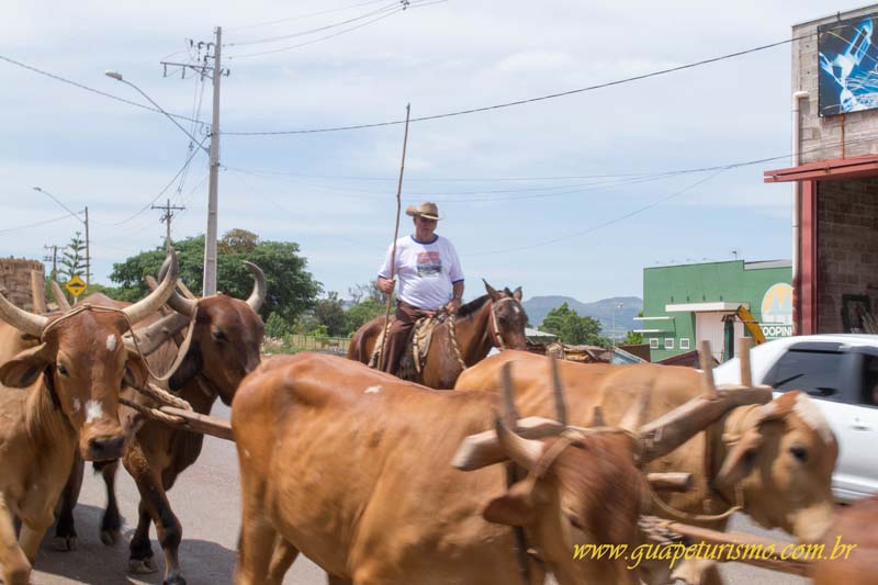 Festa_sao_camilo (21)