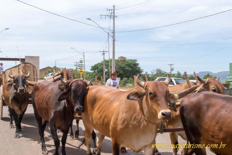 Festa_sao_camilo (22)