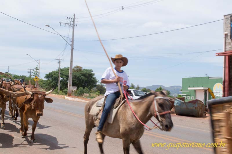 Festa_sao_camilo (23)