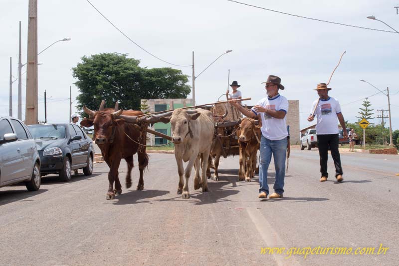 Festa_sao_camilo (26)