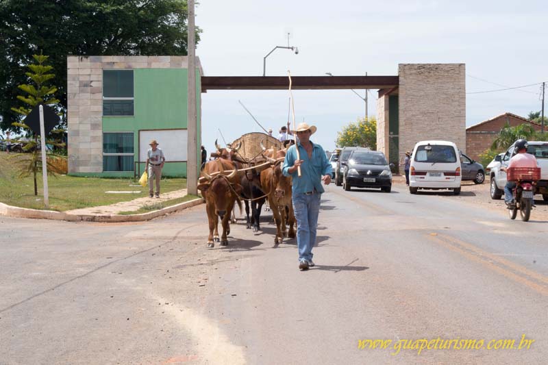 Festa_sao_camilo (3)