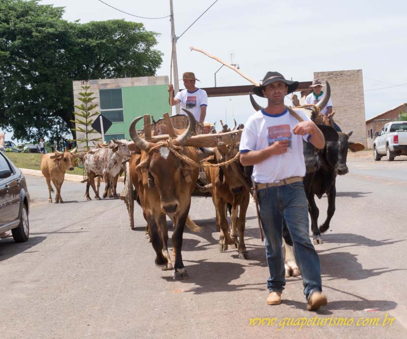 Festa_sao_camilo (30)