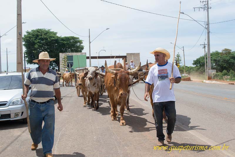 Festa_sao_camilo (31)