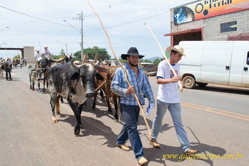 Festa_sao_camilo (32)