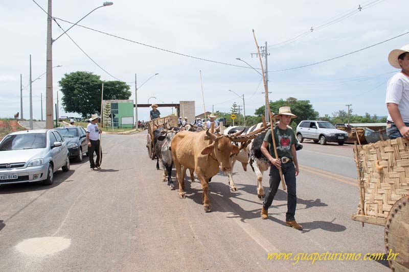 Festa_sao_camilo (33)