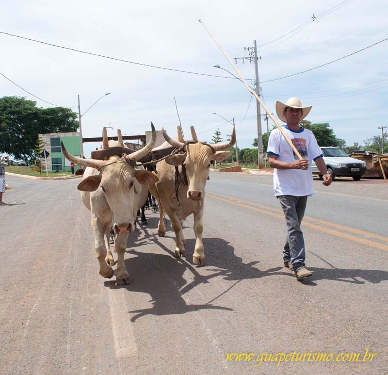 Festa_sao_camilo (34)