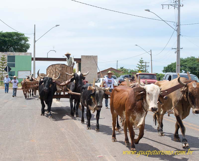 Festa_sao_camilo (39)