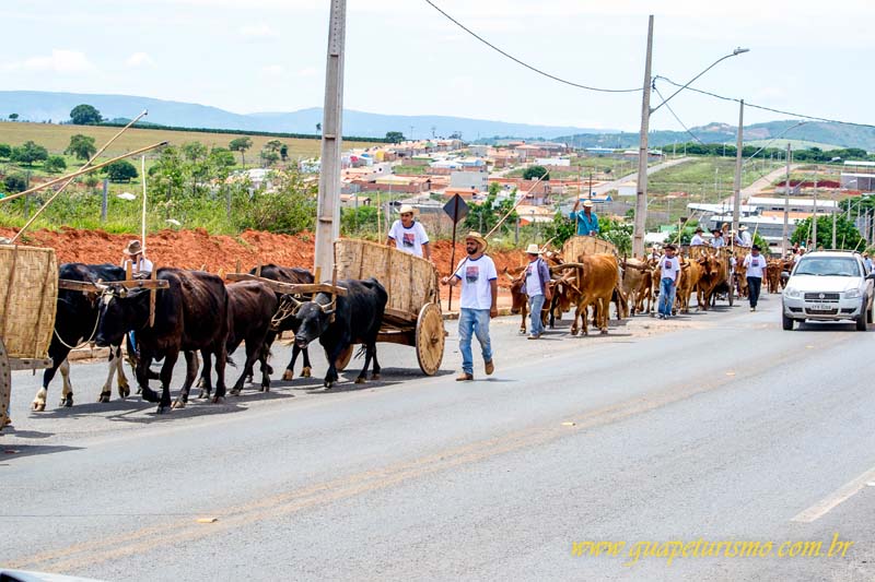 Festa_sao_camilo (48)