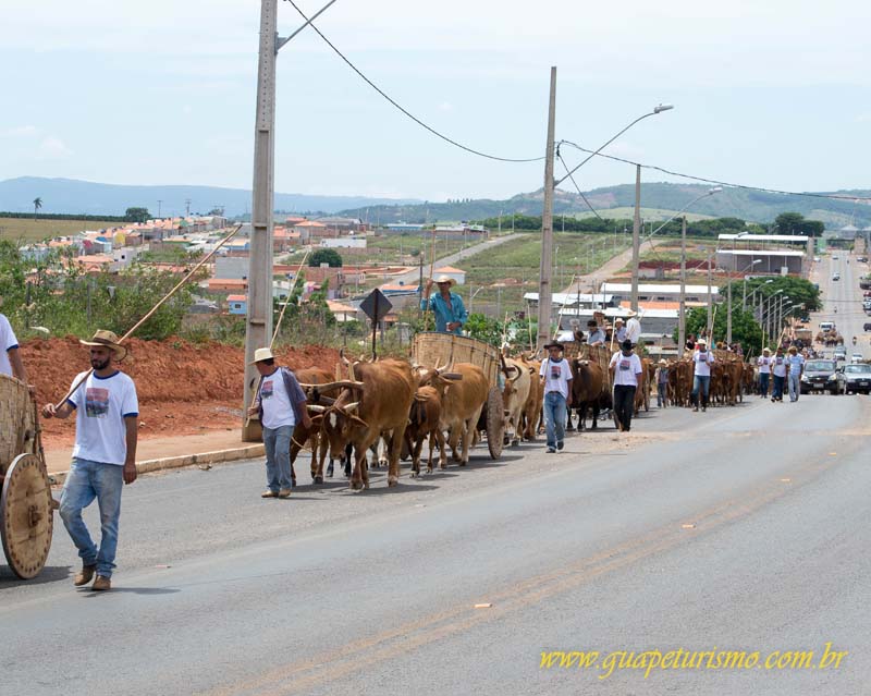 Festa_sao_camilo (49)