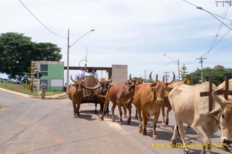 Festa_sao_camilo (5)