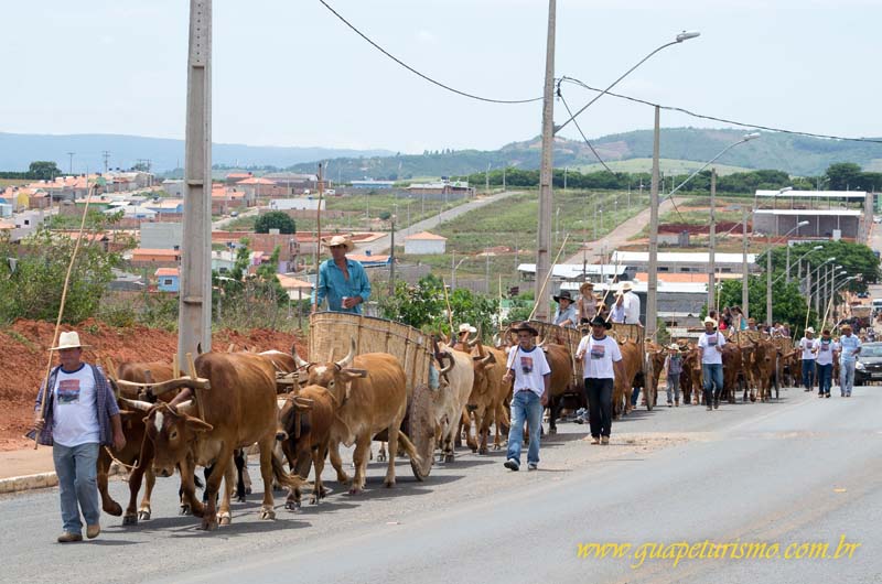 Festa_sao_camilo (50)