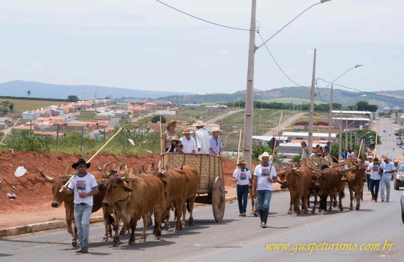 Festa_sao_camilo (51)