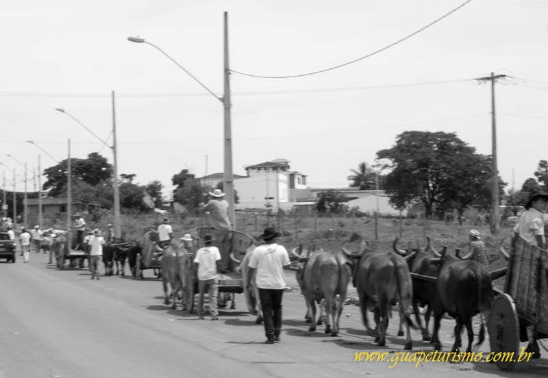 Festa_sao_camilo (52)