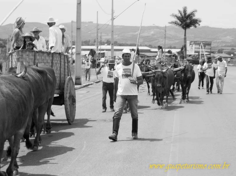 Festa_sao_camilo (53)