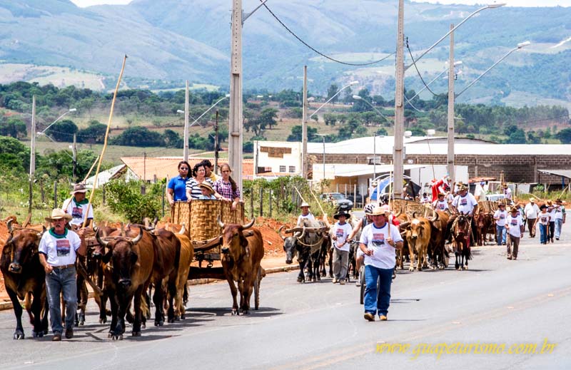 Festa_sao_camilo (55)