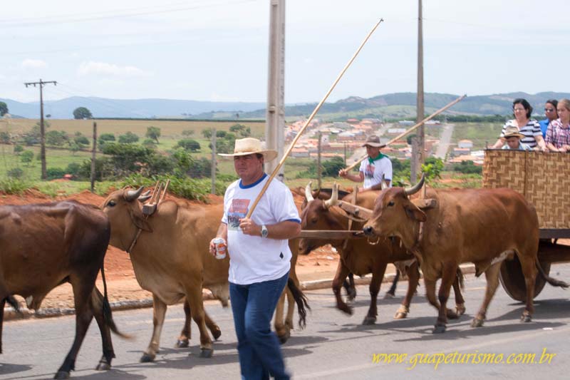 Festa_sao_camilo (59)