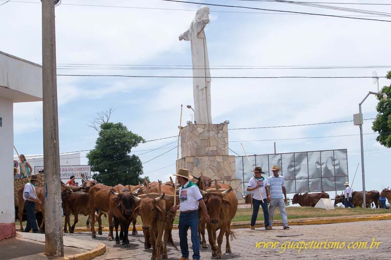 Festa_sao_camilo (63)