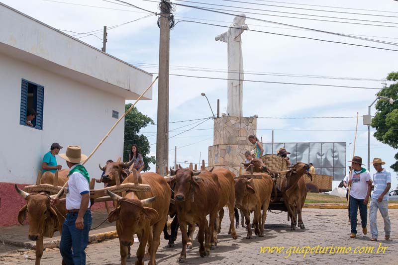 Festa_sao_camilo (65)