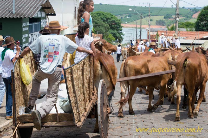 Festa_sao_camilo (71)