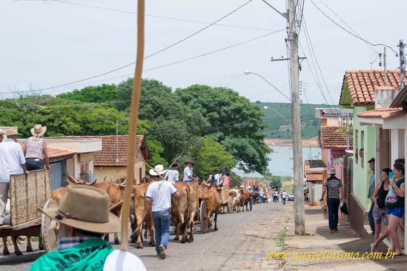 Festa_sao_camilo (72)