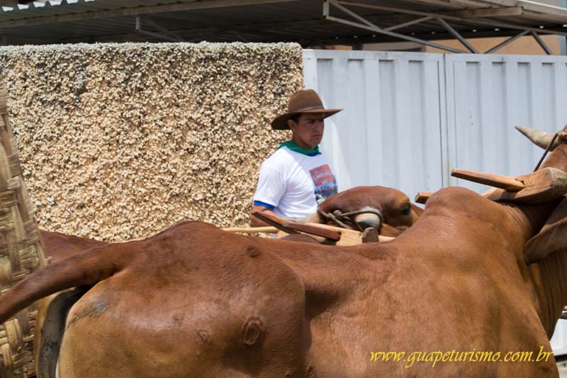 Festa_sao_camilo (73)