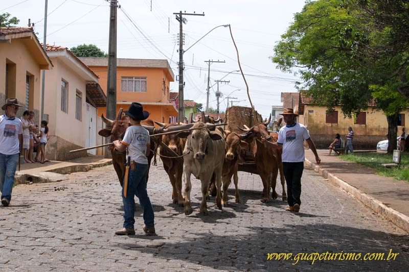 Festa_sao_camilo (75)