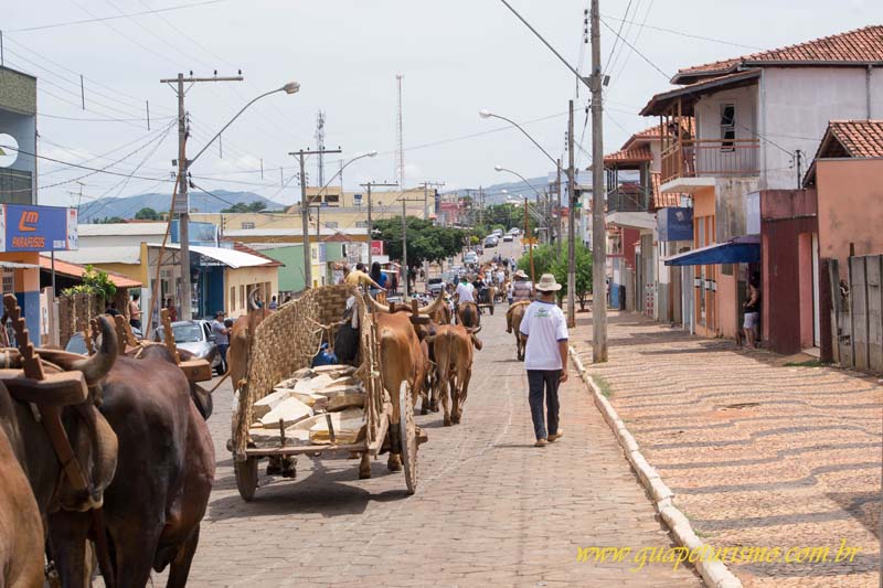 Festa_sao_camilo (77)