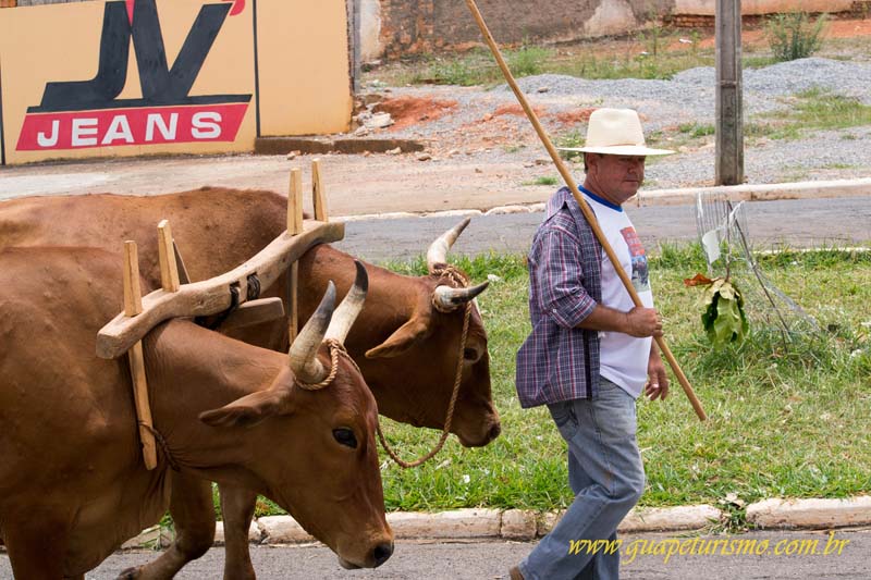 Festa_sao_camilo (84)