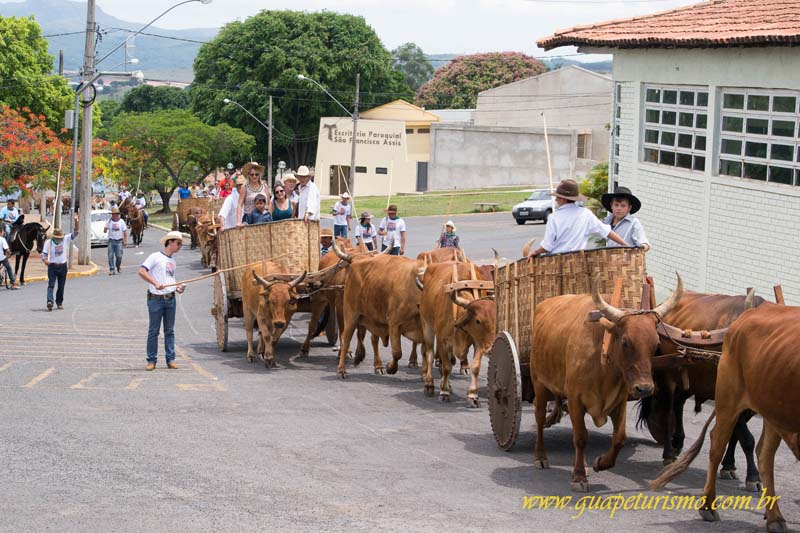 Festa_sao_camilo (85)