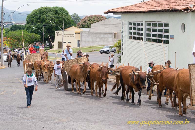 Festa_sao_camilo (88)