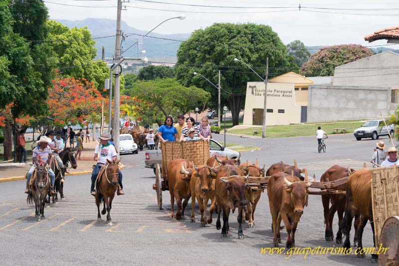 Festa_sao_camilo (92)