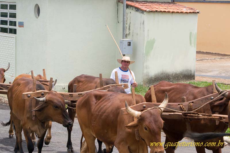 Festa_sao_camilo (94)