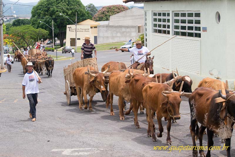 Festa_sao_camilo (98)