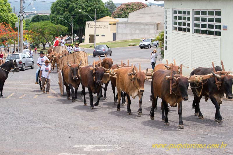 Festa_sao_camilo (99)